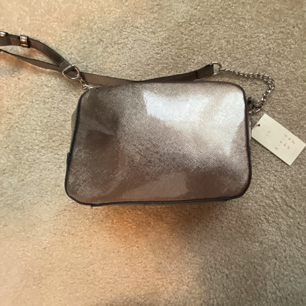 Silver Purse
